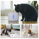 Pet Water Fountain