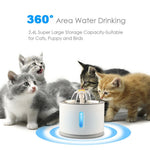 Pet Water Fountain