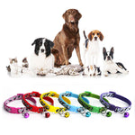 1PC Hot Delicate Safety Casual Nylon Dog Collar