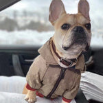 Fashion Embroidery Pet Dog Clothes for Small Dogs