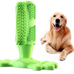 Dog Toy Dog Chew Toys Dog Toothbrush Pet