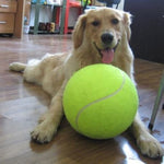 9.5 Inches Dog Tennis Ball Giant Pet Toys for Dog