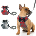 Small Dog Harness and Leash Set Pet Vest Harness