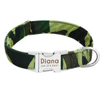 Dog Collar Custom Nylon Puppy Cat Dog Tag Collar