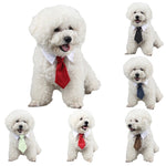Pet Simple and Fashiono Decorative Costume for Dogs